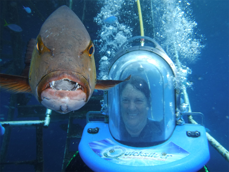 Trips2Australia's tweet photo. Check out  some of our favorite client photos from their adventures on the Great  Barrier Reef - an absolute must-do on any trip to Australia! https://t.co/fMZrindokj