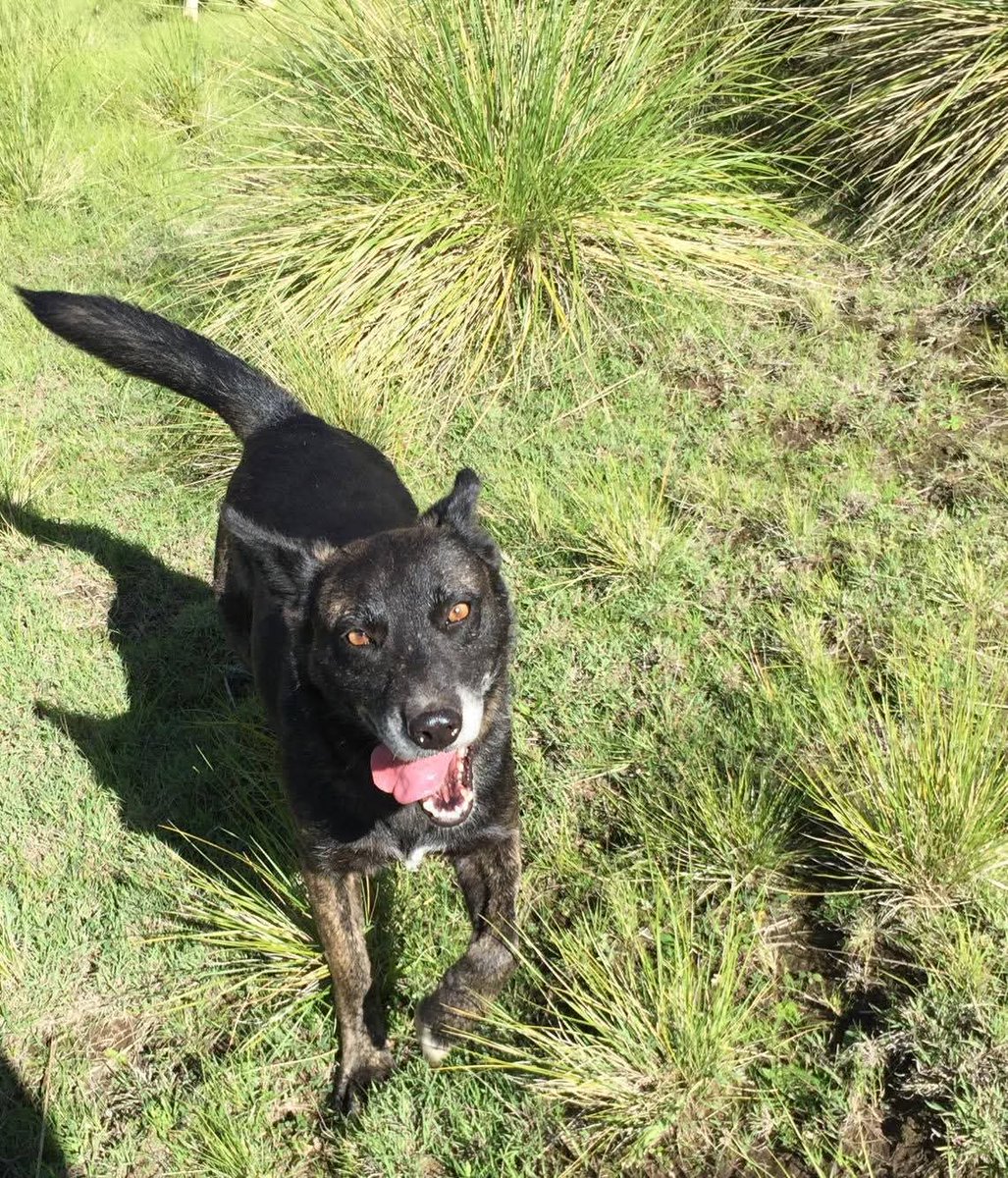 Oceanican tweet media