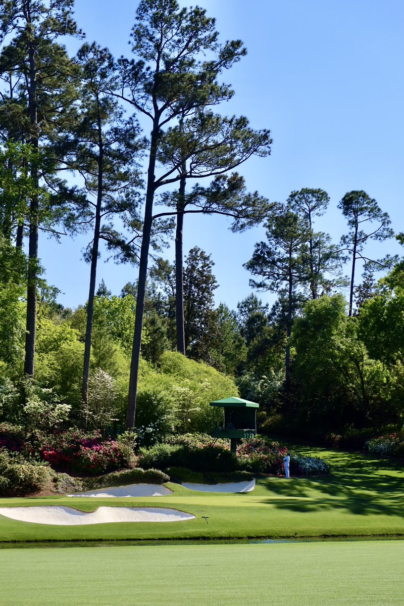 claire rogers tweet media