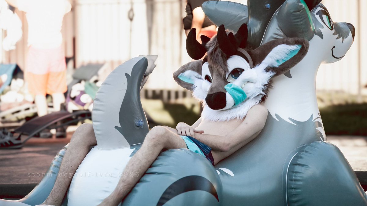 Eclipse🦌➡️LVFC/FWA/MP tweet media