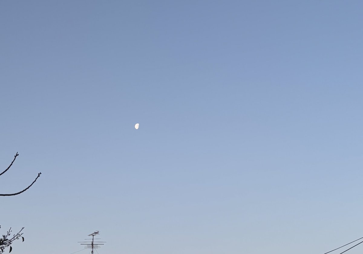 tomy🎢 tweet media