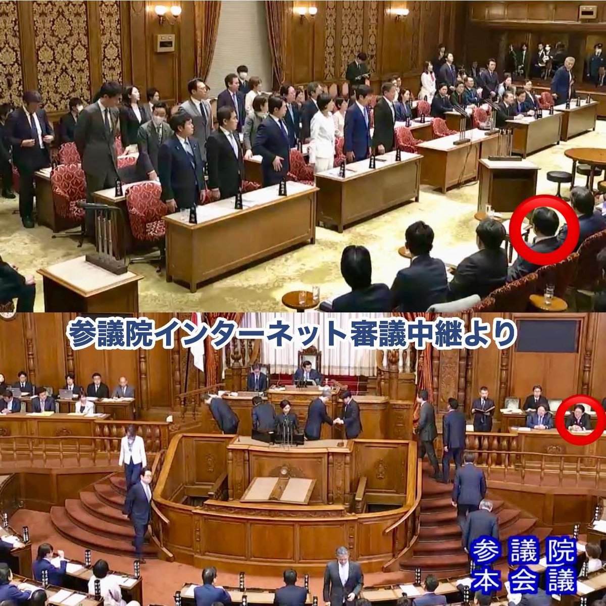 金子恭之 tweet media
