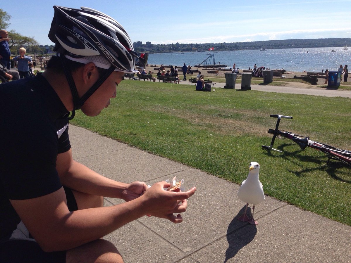 Елена Иляхина tweet media