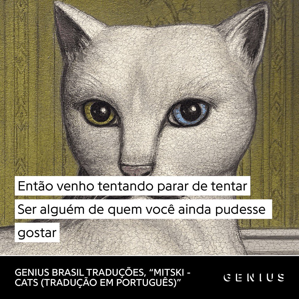 Mitski Brasil tweet media