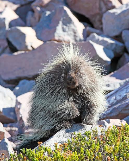 avery 🪽 tweet media