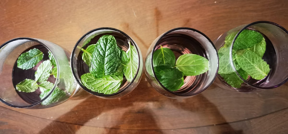 Bendikbraa's tweet photo. Turn old glass jars into cute herb planters!  Clean → paint → plant → enjoy your green corner. Easy, eco-friendly, and budget-friendly! #UpcycleHacks #DIYHome https://t.co/7RKc8gpfYG