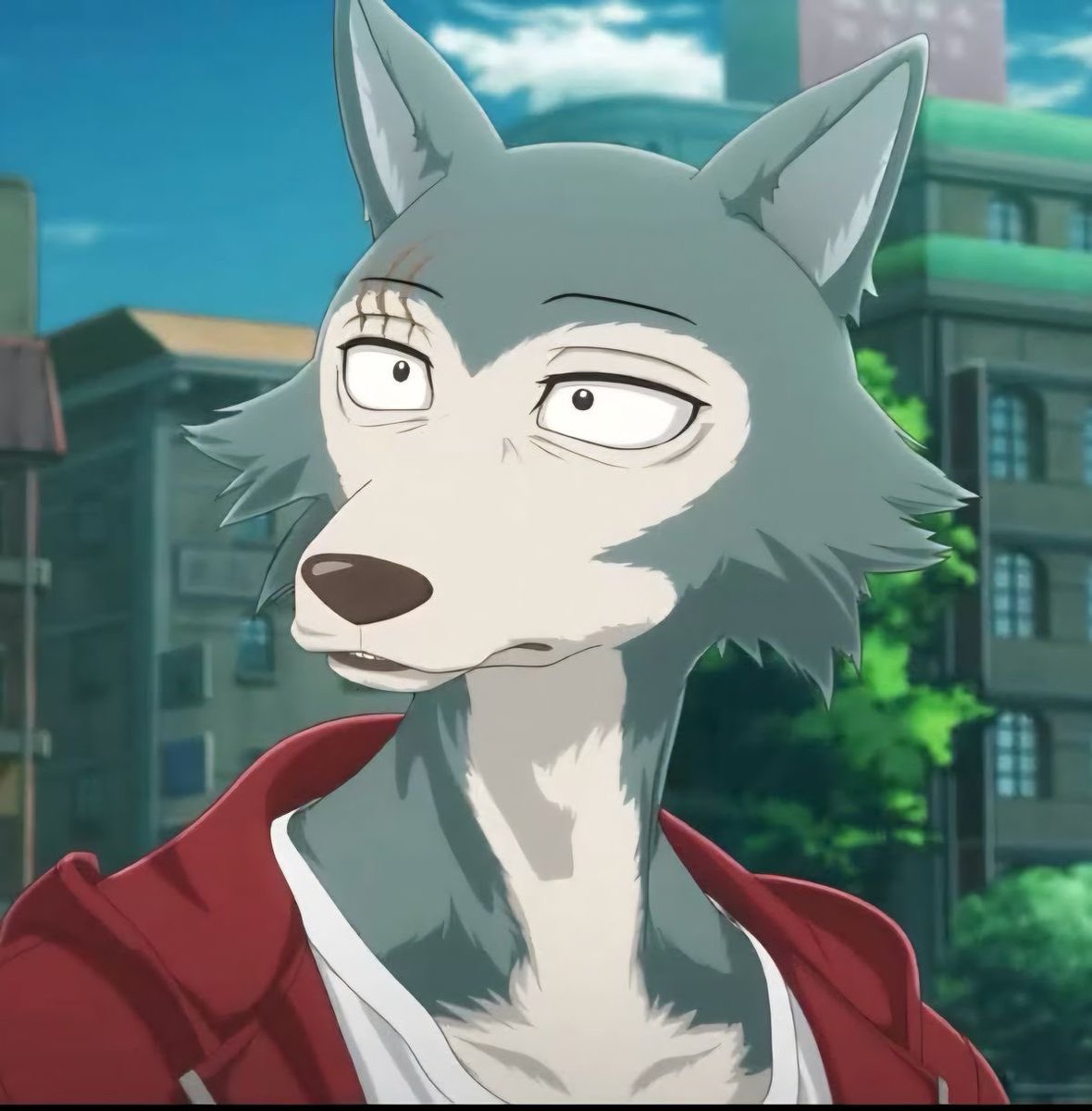 The Cajun Gator (Sonar Fan) tweet media