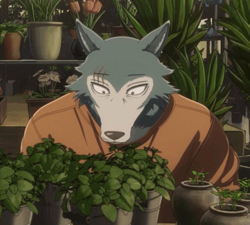 The Cajun Gator (Sonar Fan) tweet media