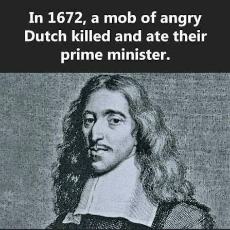 Colin the Dachshund tweet media