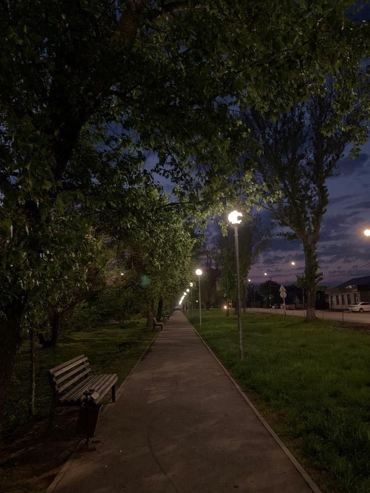 Samira Mohan tweet media