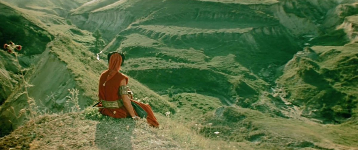 𝐬𝐨𝐯 tweet media