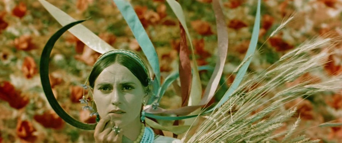 𝐬𝐨𝐯 tweet media