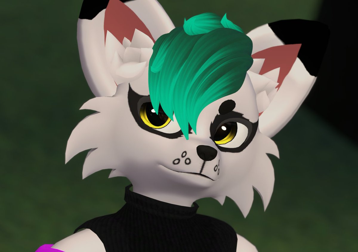EsperoTheFox's tweet photo. Don't be fooled, not a single thought in there https://t.co/s5wkl9xFDE