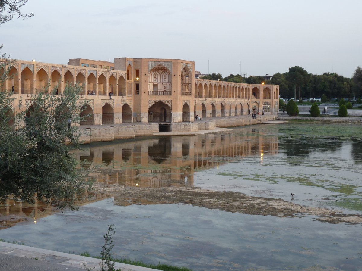 Jon Letman tweet media