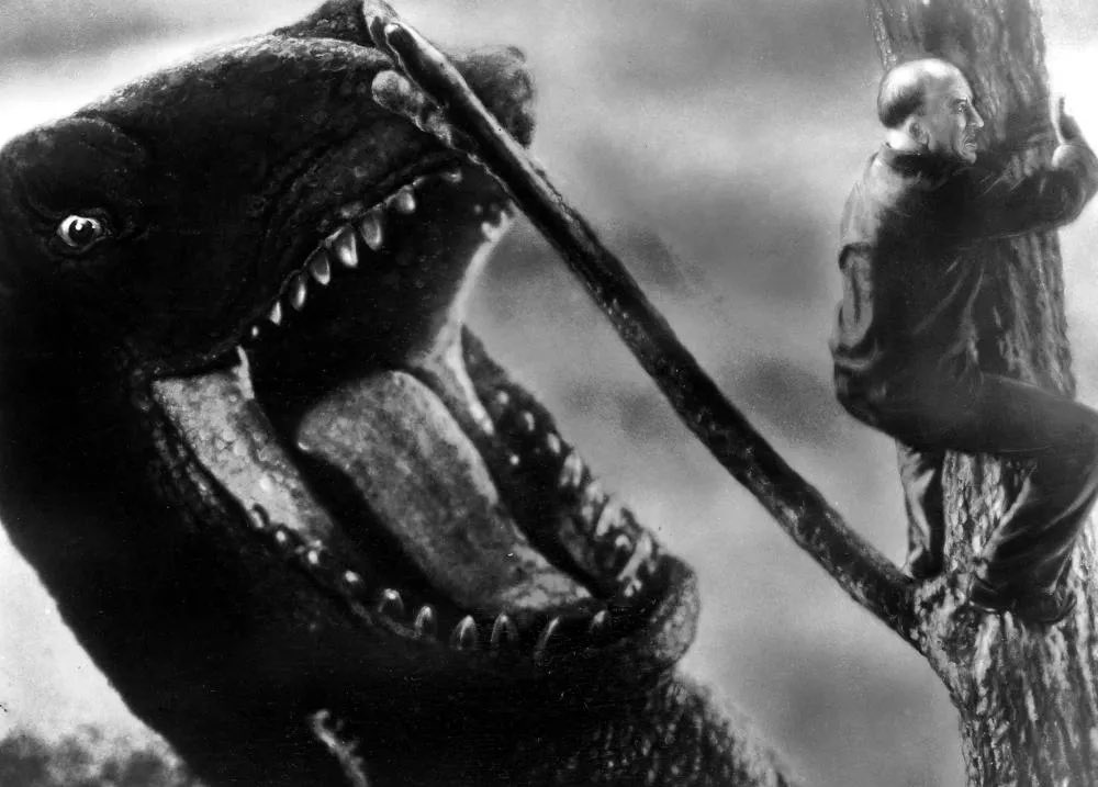 자사비 tweet media