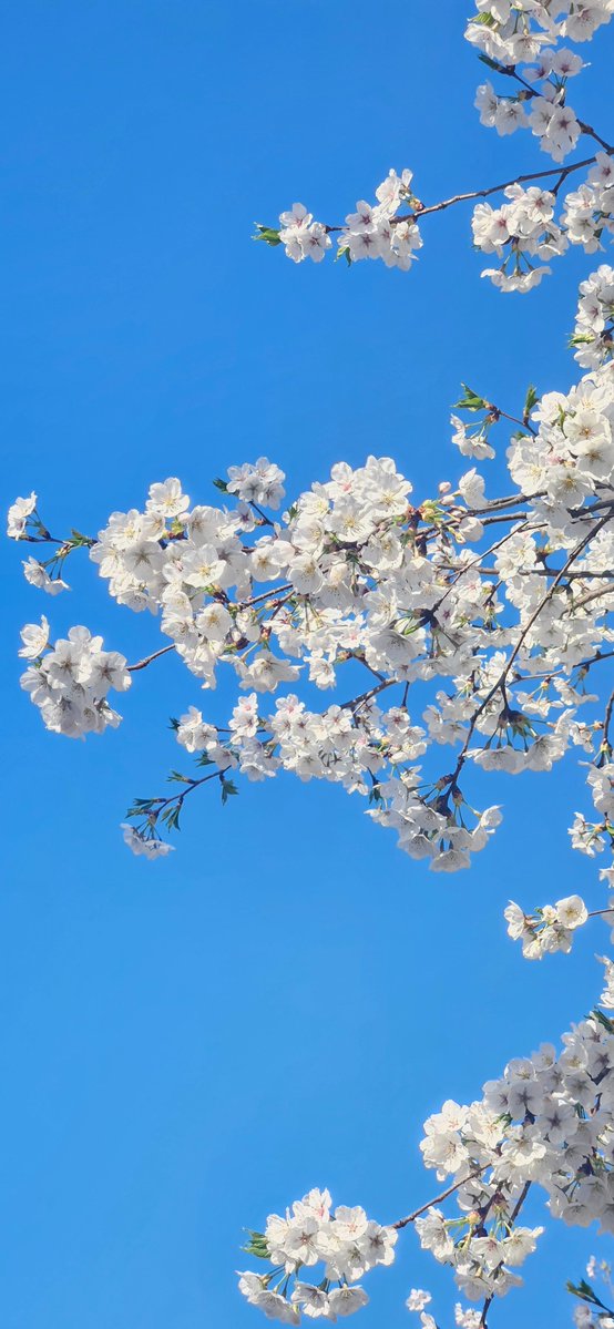 0-0 ㅌㅊㅅ (반동결🧊) tweet media