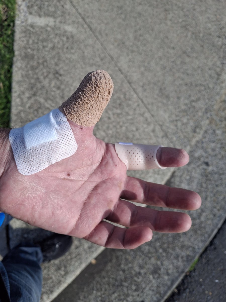 The Ape Descendant tweet media