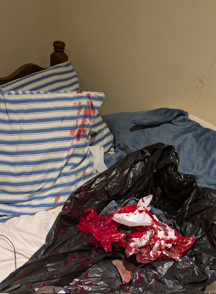 Axel ◇sh(ed)twt◇ tweet media