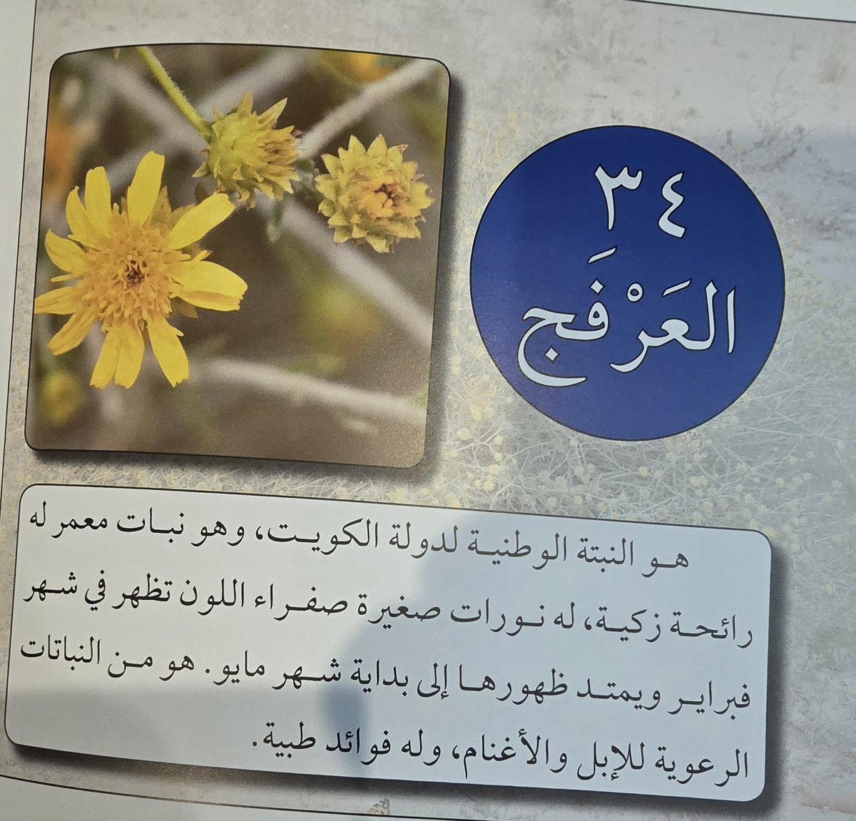 عادل حسن محمد tweet media