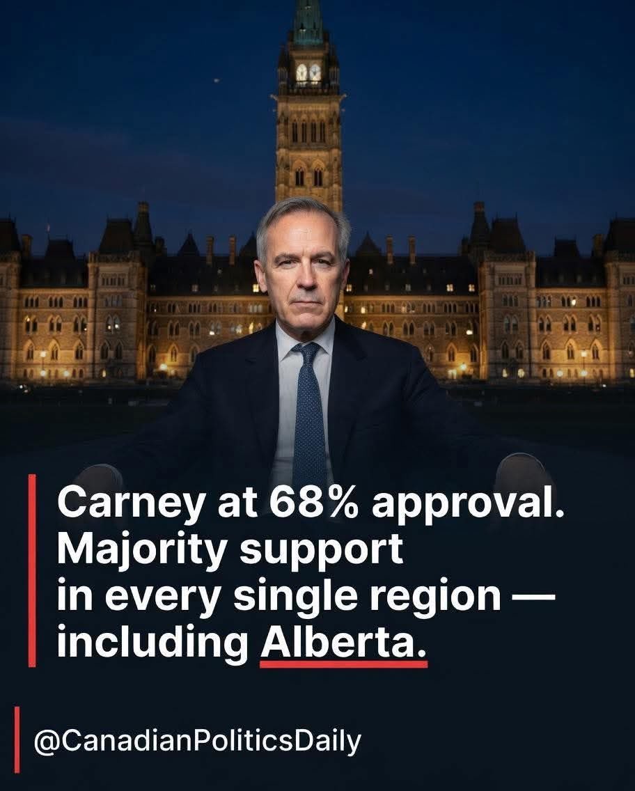 Pete Bear tweet media