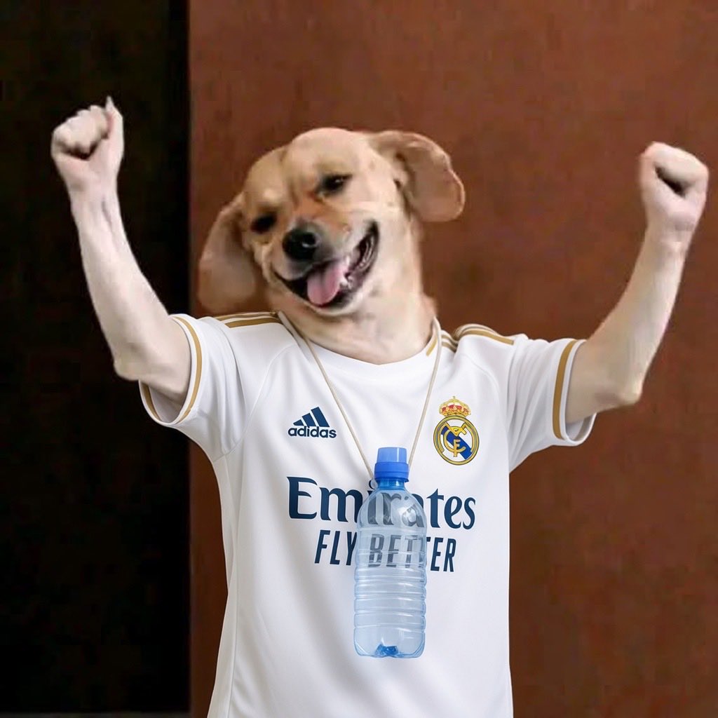 GINOD MORRE tweet media