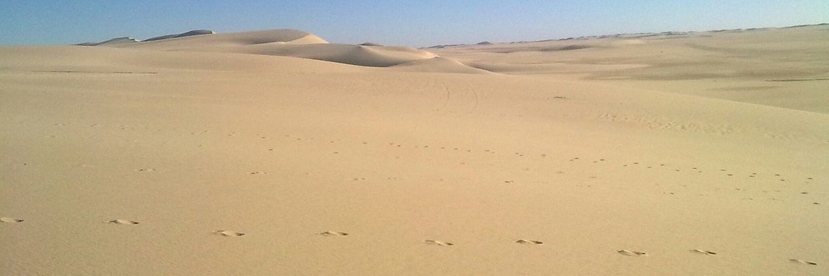 🎱H80D tweet media