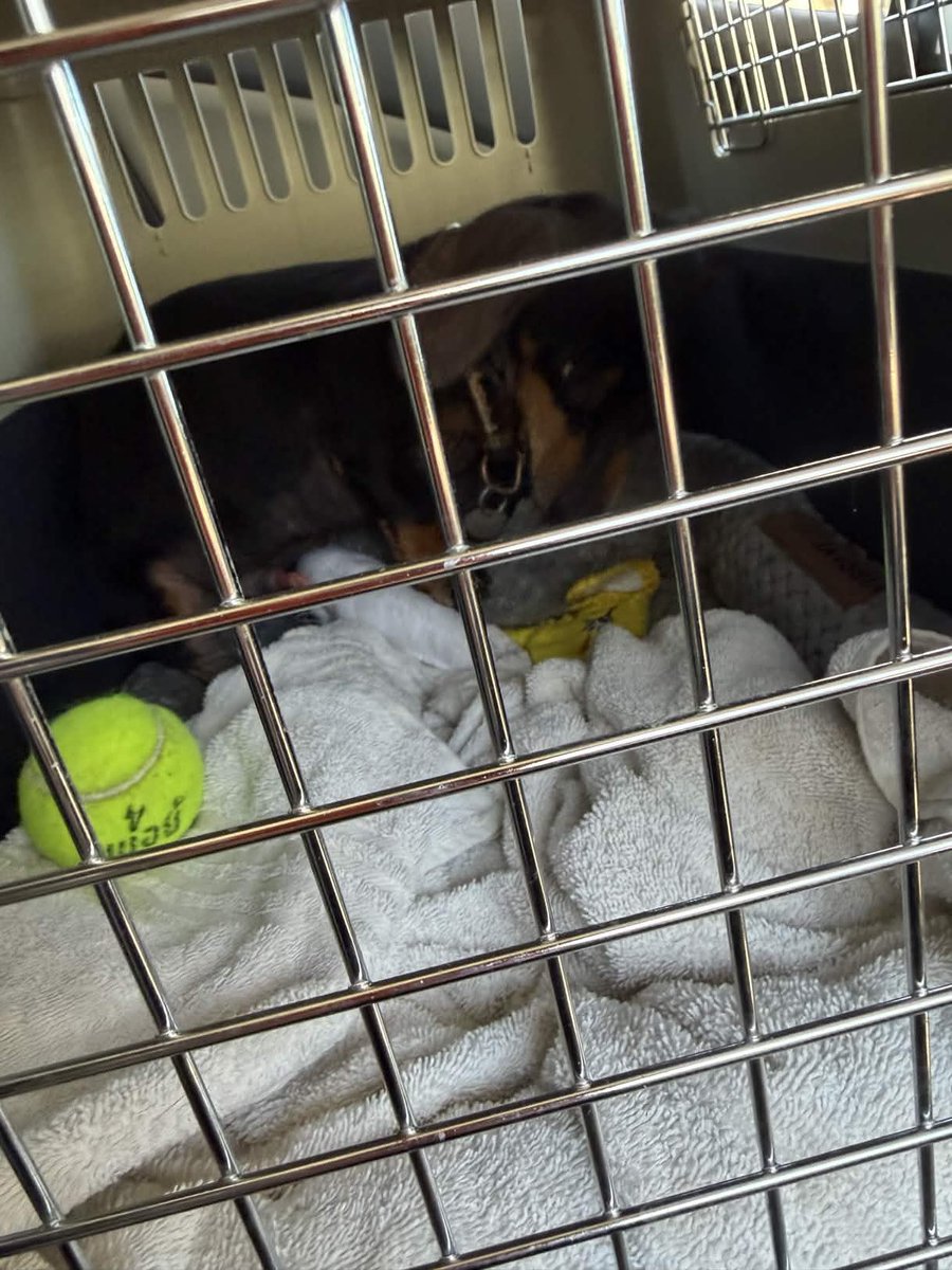 Doki 🏆 tweet media