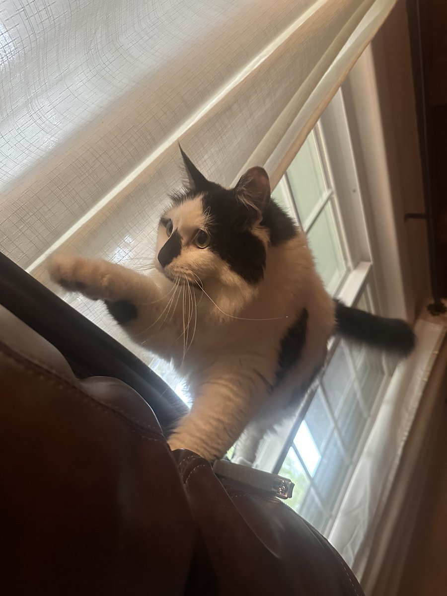 Austin Barnard🚀 tweet media