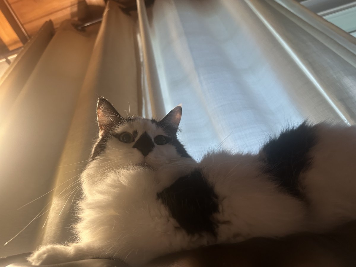 Austin Barnard🚀 tweet media