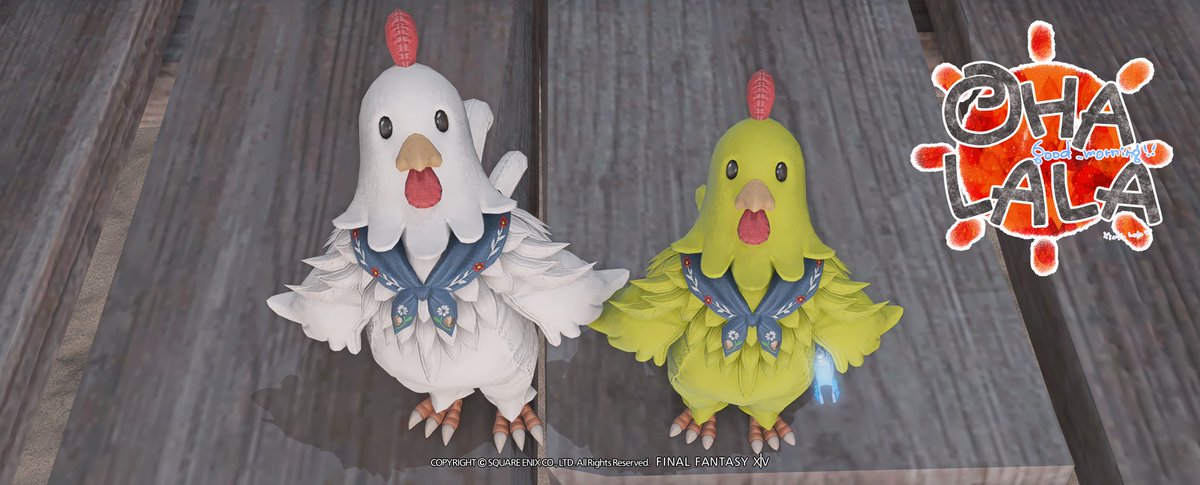 みかん🍊☽ ❖ ❂ ネコフェル課🐾 tweet media