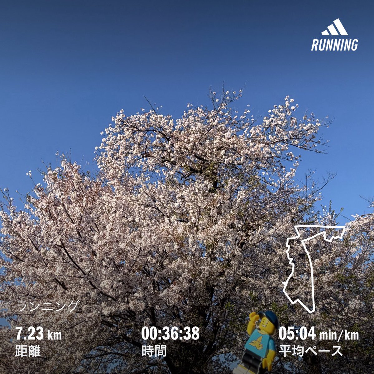 19yataman's tweet image. ☀️おはようございます🌞
今週は入園・入学を迎えらえる方も多いと思います🌸
晴れ渡った青空の下 満開の笑顔が見られますよーに☺️🫶
今日も張り切って いきましょう‼️👍
336km/1200km
#ランニング
#running
#朝活
#年間目標1200km
#LEGO