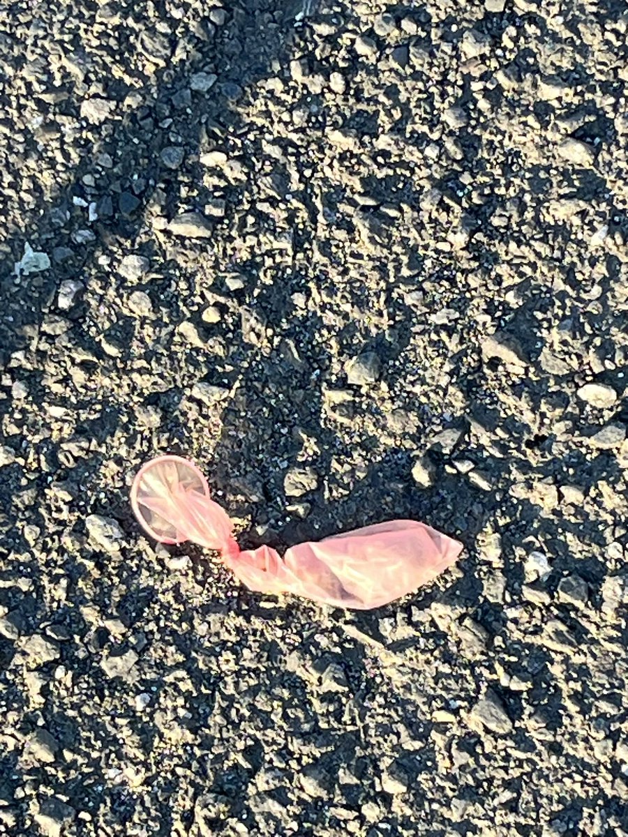 パパっちゴリラ tweet media