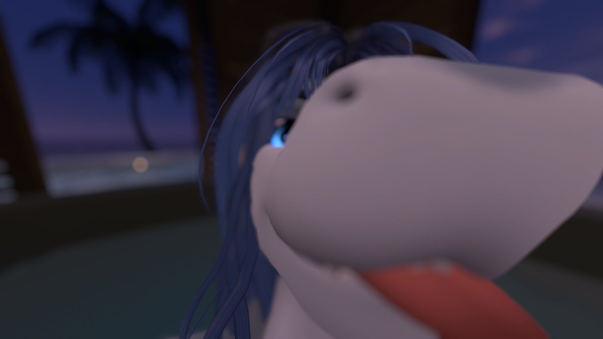 ๐ฆ Draven the Prehistoric Pirate Sharkie.๐ฆ tweet media