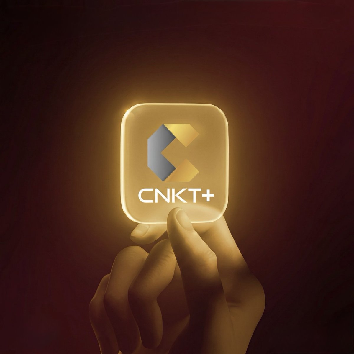 CNKT+ tweet media