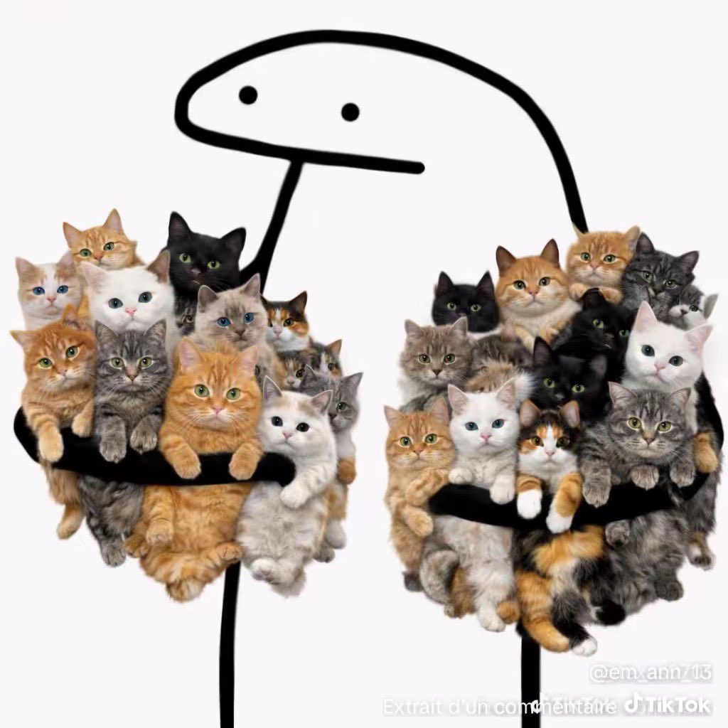 Mademoiselle tweet media