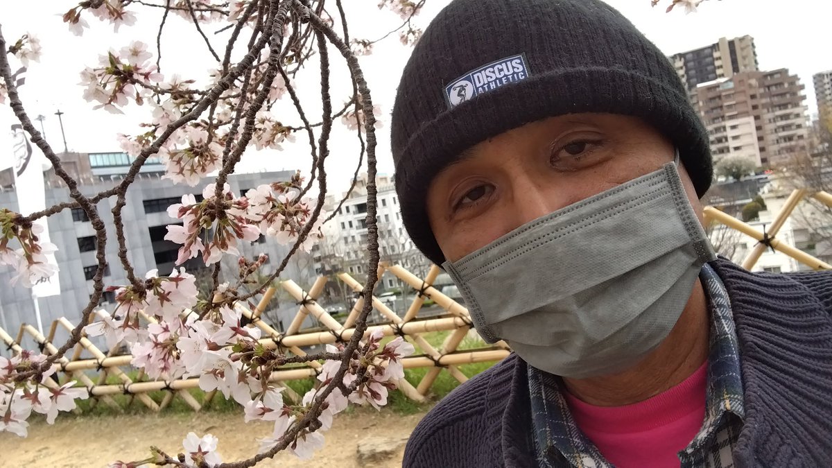 鈴キング tweet media