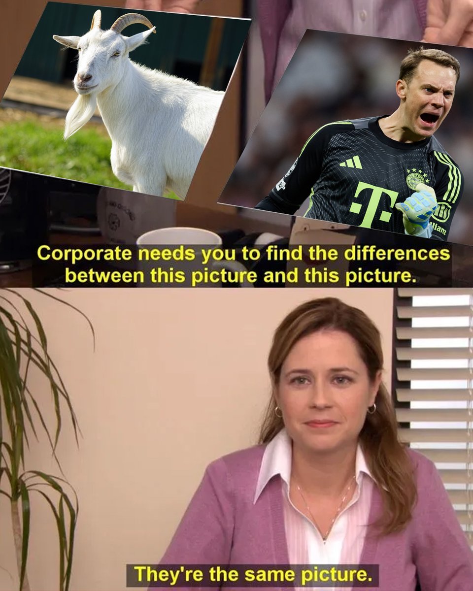 FC Bayern München tweet media