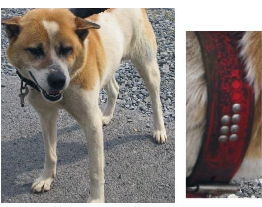 ヘタレ福祉職員@痛恨のヤメルヤメル詐欺 tweet media