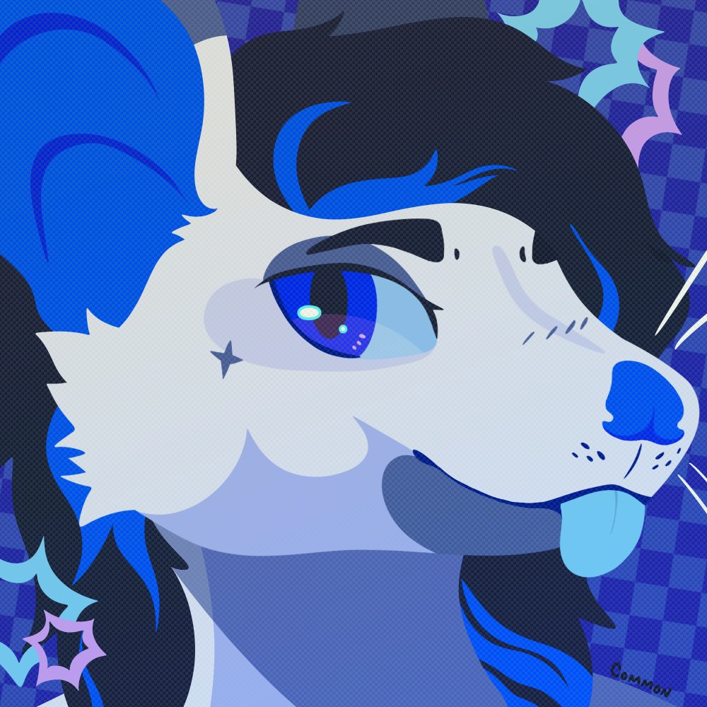 ✶ COMMON ✶ tweet media