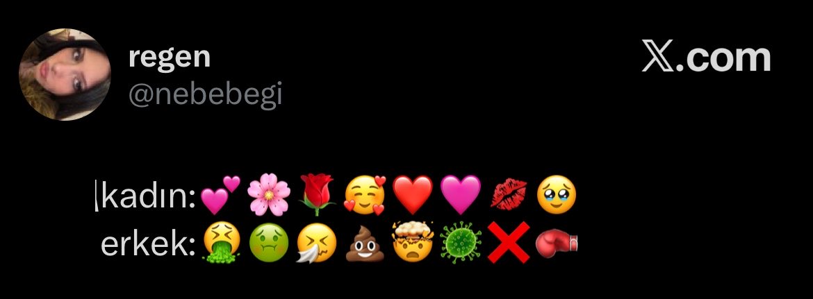 justAylin tweet media