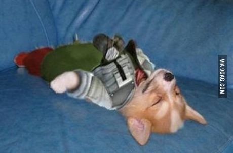 Ritan Man tweet media