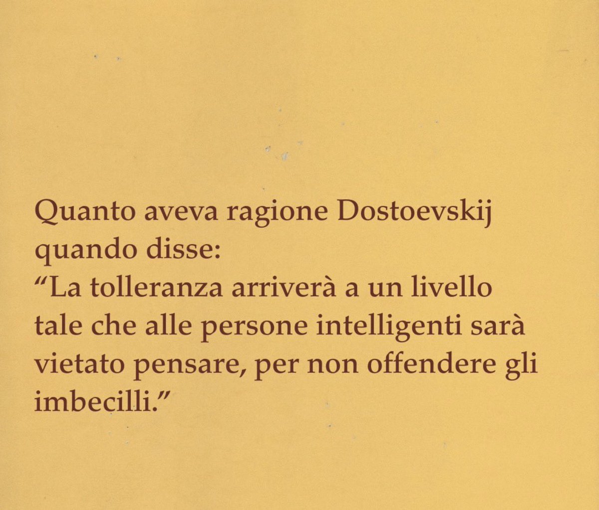 Michela Foschi tweet media