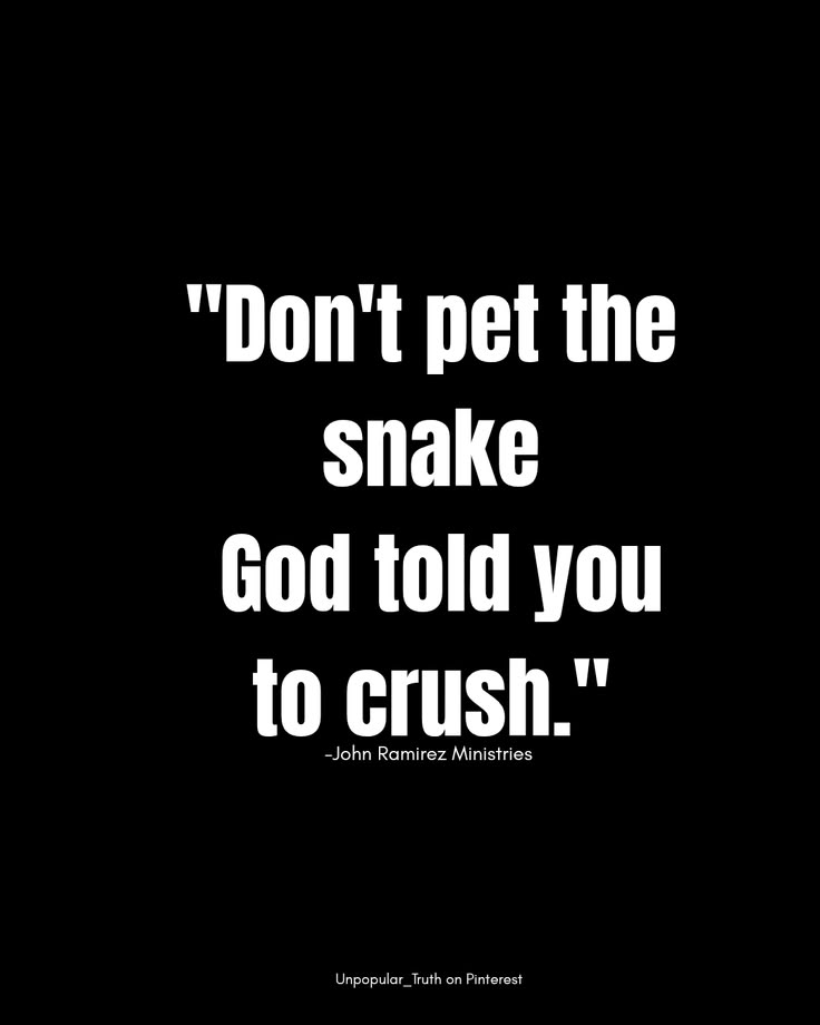 Conservative, Indy. tweet media