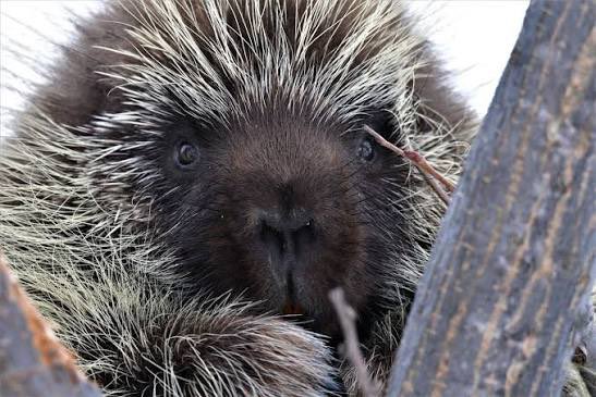 avery 🪽 tweet media