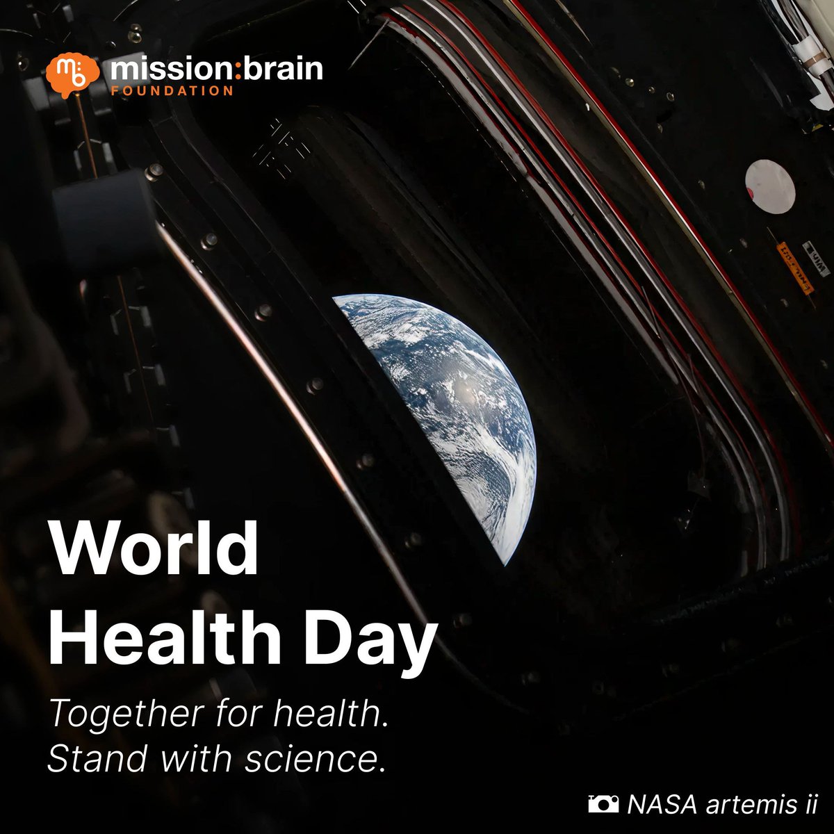 mission:brain tweet media