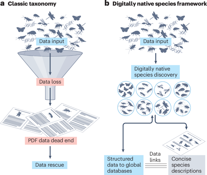 Nature Reviews Biodiversity tweet media