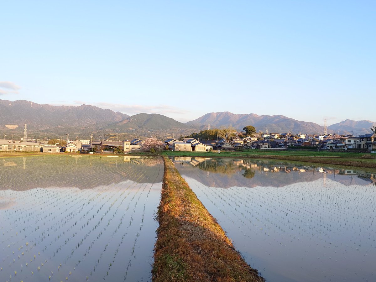 大工のタカ tweet media