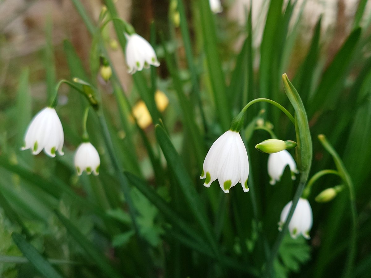 大工のタカ tweet media