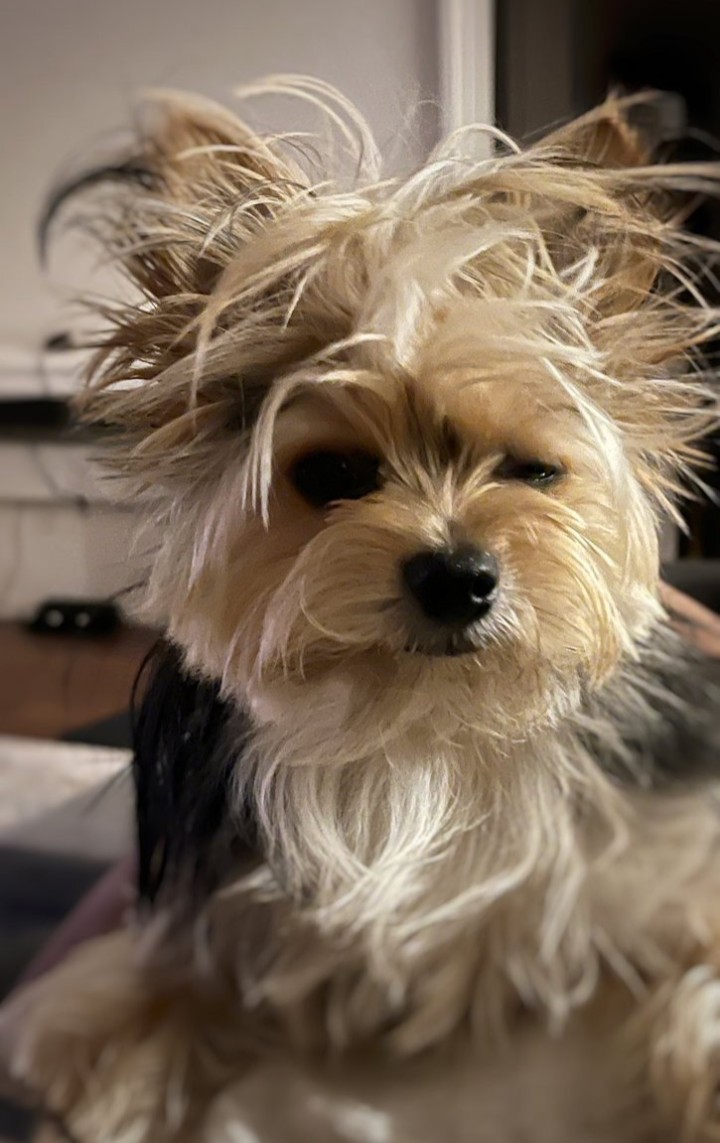 イケ麺☆ tweet media