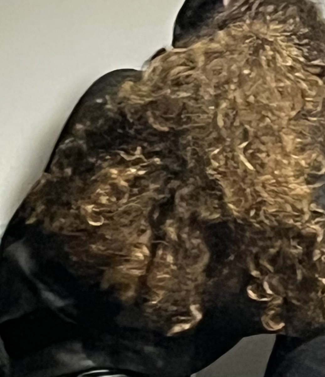 🇬🇷🏛️η απόγονος του προστάτη🏹🏺 tweet media